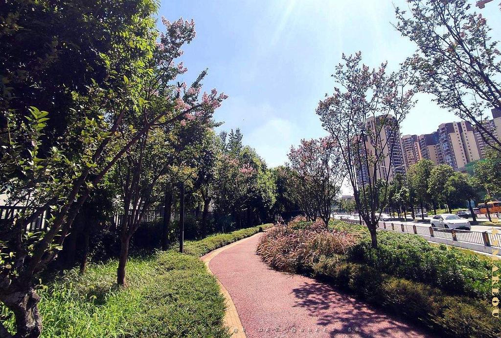 CHENGDU - Quartier Jianshe - Domicile Quentin - Aout 2023 -  33.jpg